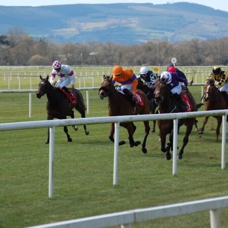 2025 Royal Ascot Ante-Post E/W Lucky 15