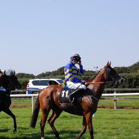 2026 Grand National Ante-Post Tip