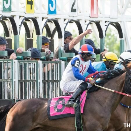 William Hill offers Non-Runner Money Back at Cheltenham