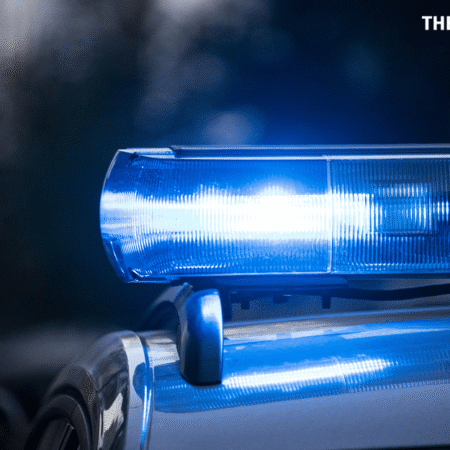 8 individuals arrested for anti-illegal operations in Rizal